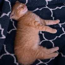 Thumbnail photo of Holly #3