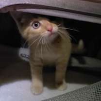 Thumbnail photo of Holly #4