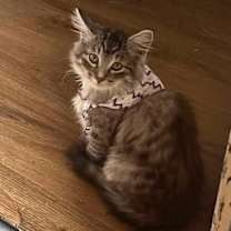 Thumbnail photo of Nicholas #2