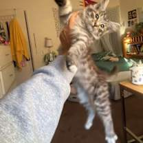 Thumbnail photo of Nicholas #4