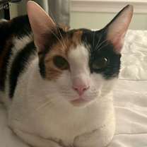 Thumbnail photo of Doja #1