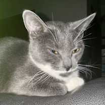 Thumbnail photo of Mama Milkstache #2