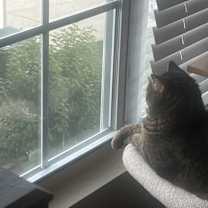 Thumbnail photo of Peyton #2