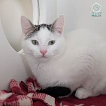 Thumbnail photo of Snow White (and Happy) #1