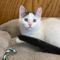 Thumbnail photo of Snow White (and Happy) #2