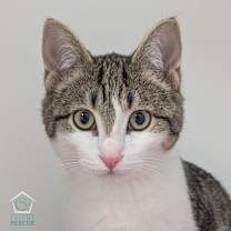 Thumbnail photo of Happy (and Snow White) #1