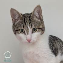 Thumbnail photo of Happy (and Snow White) #2