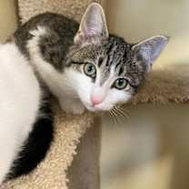 Thumbnail photo of Happy (and Snow White) #4