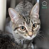 Thumbnail photo of Tuftie #1