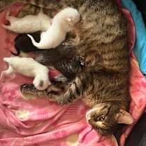 Thumbnail photo of Bora #3