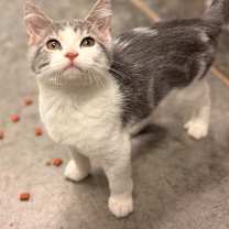 Thumbnail photo of Jesse #2