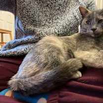 Thumbnail photo of Parfait #4