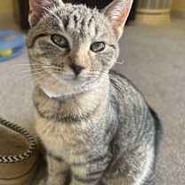 Thumbnail photo of Lucas #1