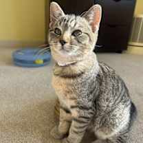 Thumbnail photo of Lucas #3