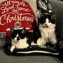 Thumbnail photo of Patch #4