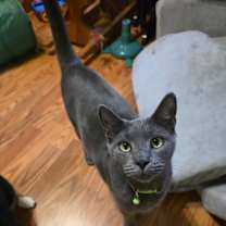 Thumbnail photo of Frankie Jo #1