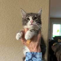 Thumbnail photo of Frank #2