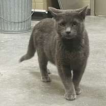 Thumbnail photo of Edgar #1