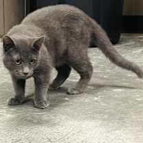 Thumbnail photo of Edgar #2