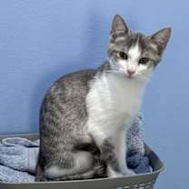 Thumbnail photo of CECE #1