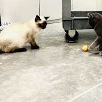 Thumbnail photo of Heath #2