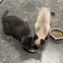 Thumbnail photo of Heath #3