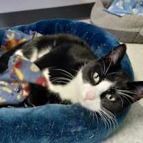 Thumbnail photo of Tigley #2