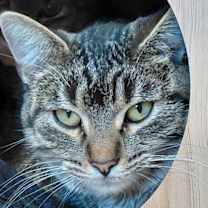 Thumbnail photo of Fynlee #3