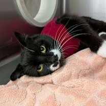 Thumbnail photo of Barbie #2