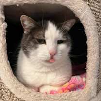 Thumbnail photo of Molly #3