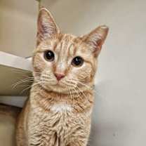 Thumbnail photo of Kara #1