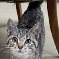 Thumbnail photo of Jingle #1