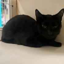 Thumbnail photo of Junebug #1