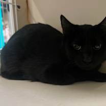 Thumbnail photo of Junebug #2