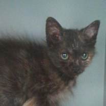 Thumbnail photo of Daisy Mae #1