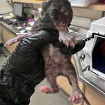 Thumbnail photo of Daisy Mae #2