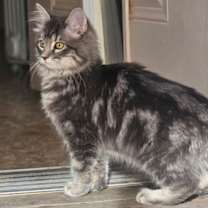 Thumbnail photo of Logan #1