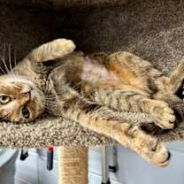 Thumbnail photo of Mama Tot #1