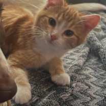 Thumbnail photo of Waldo Starling #2