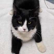 Thumbnail photo of Julia #1