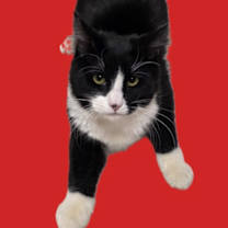 Thumbnail photo of Julia #2