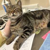 Thumbnail photo of Penny #4