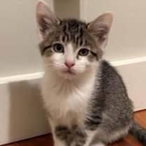 Thumbnail photo of Gala #1