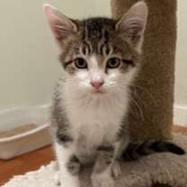 Thumbnail photo of Gala #2