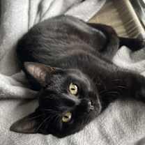 Thumbnail photo of Bubbles #1