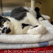 Thumbnail photo of Glacier #2