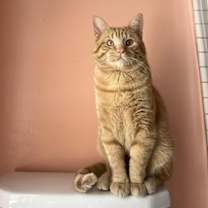 Thumbnail photo of Bubba Alfred #1