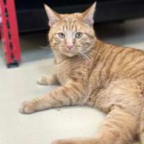 Thumbnail photo of Bubba Alfred #2