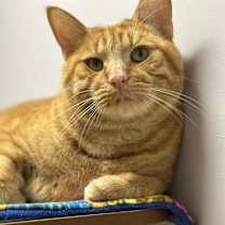 Thumbnail photo of Bubba Alfred #3