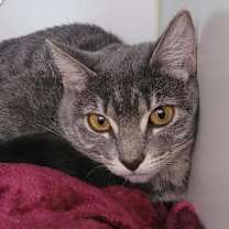 Thumbnail photo of Lola #1